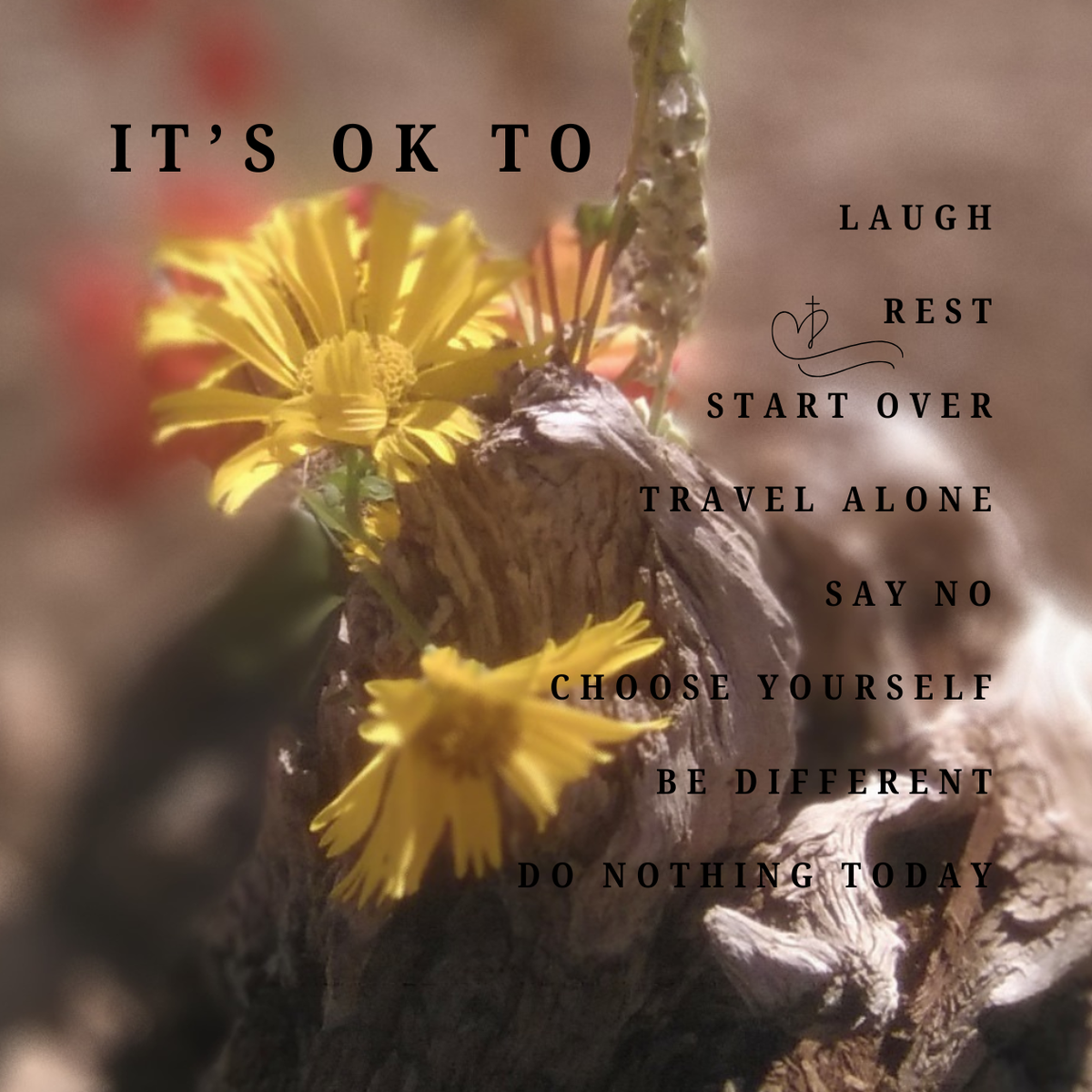 It's Ok To