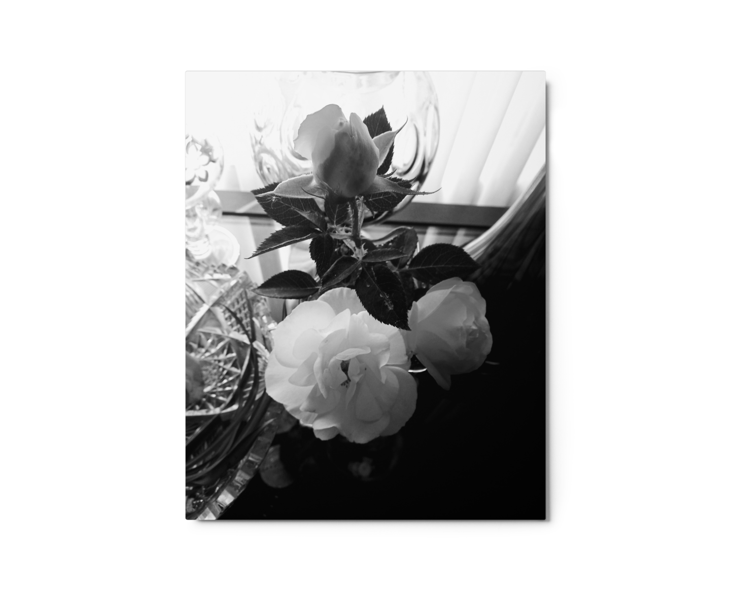 Black & White Roses Metal Wall Art Print – 8" x 10" – Aluminum, Scratch & Fade Resistant