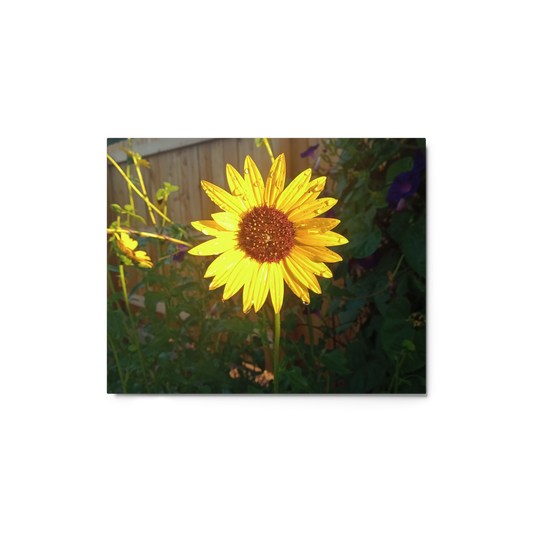 Sunflower H Metal Wall Art Print – 8" x 10" – Aluminum, Gallery-Style, Scratch Resistant