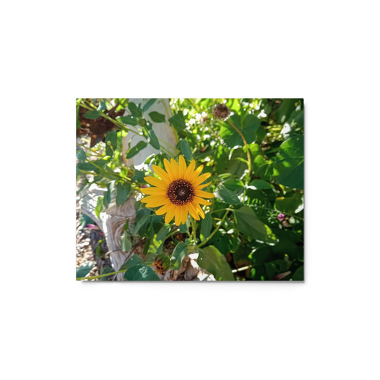 Sunflower J Metal Wall Art Print – 10" x 8" – Aluminum, Gallery-Style, Scratch Resistant