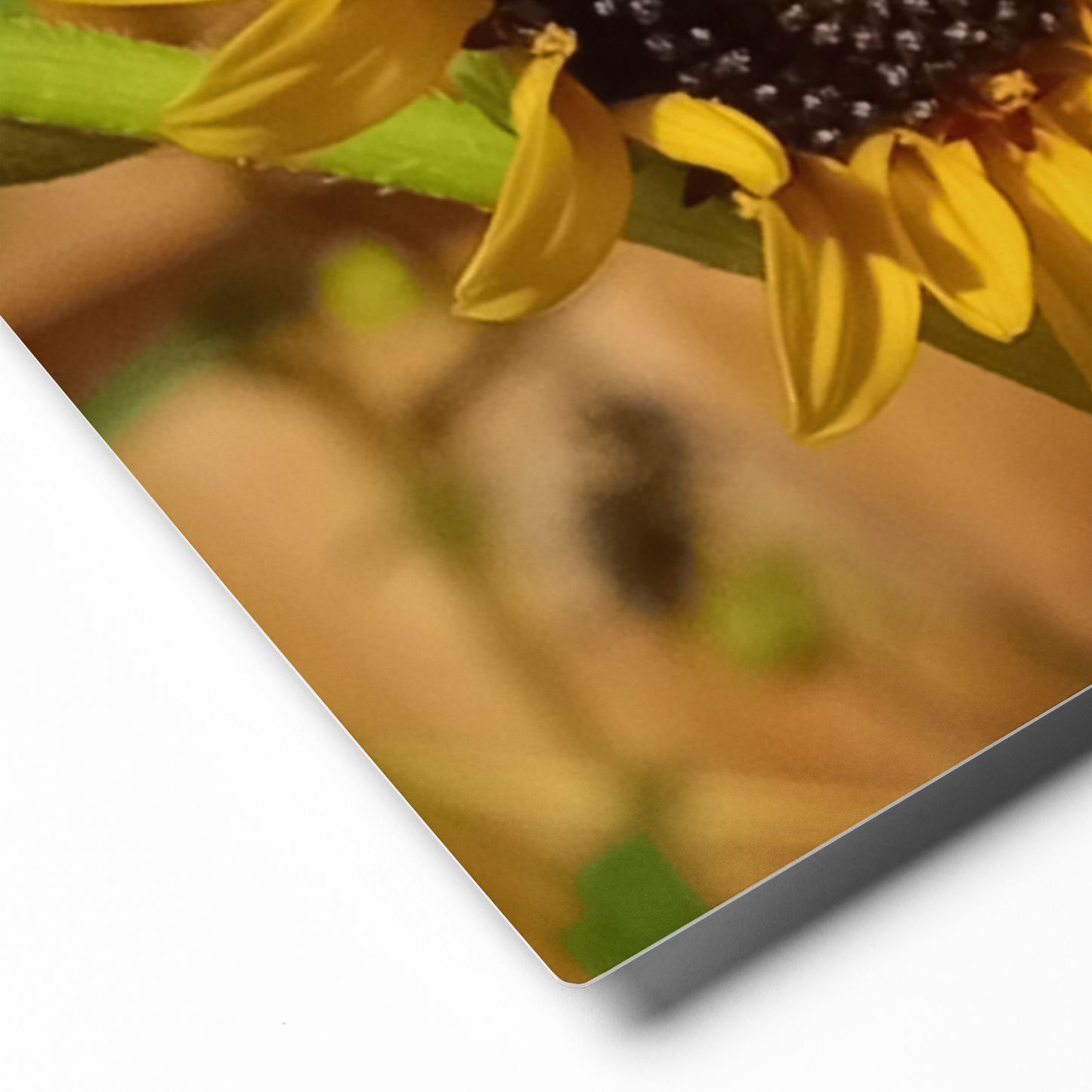 Sunflower E Metal Wall Art Print – 10" x 8" – Aluminum, Gallery-Style, Scratch Resistant