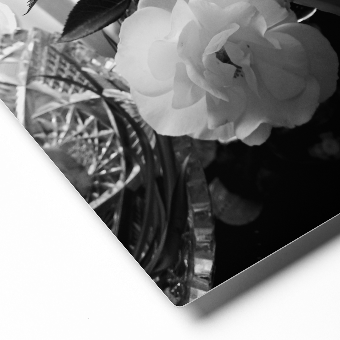 Black & White Roses Metal Wall Art Print – 8" x 10" – Aluminum, Scratch & Fade Resistant